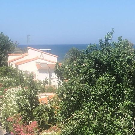 Primera Linea De Playa A 1Km Del Puerto De Dénia Eksteriør billede