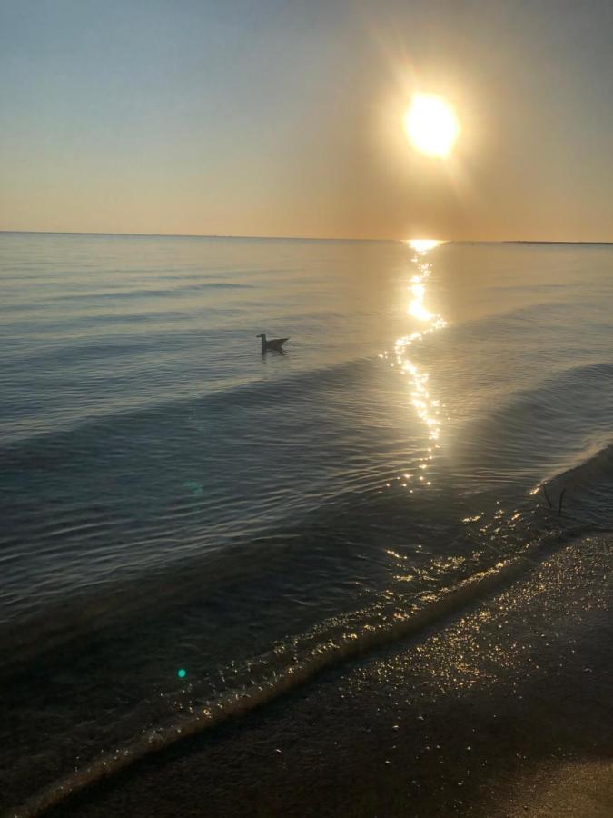 Primera Linea De Playa A 1Km Del Puerto De Dénia Eksteriør billede